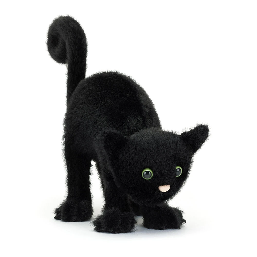 Spookipaws Cat